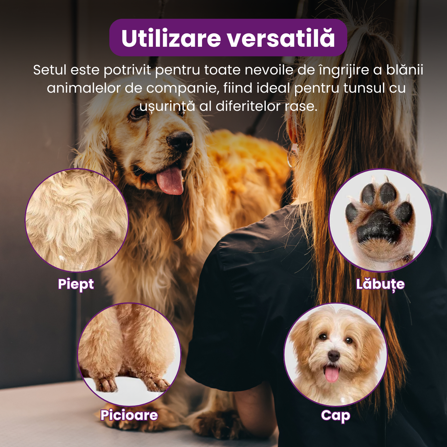 Set de 5 foarfece profesionale pentru tuns animale, cu pieptan si cutie de depozitare, design ergonomic, otel inoxidabil, prevenirea ruginii, rezistent la coroziune, usor de utilizat, auriu