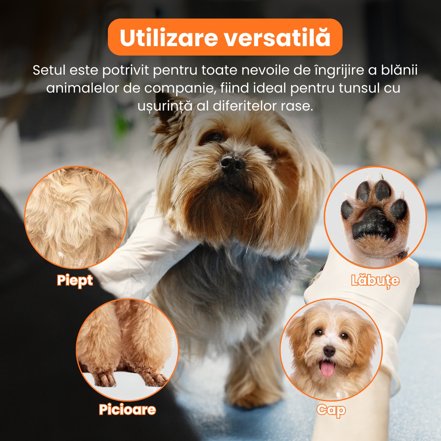 Set de 3 foarfece profesionale pentru tuns animale, cu pieptan si cutie de depozitare, design ergonomic, otel inoxidabil, prevenirea ruginii, rezistent la coroziune, usor de utilizat, negru