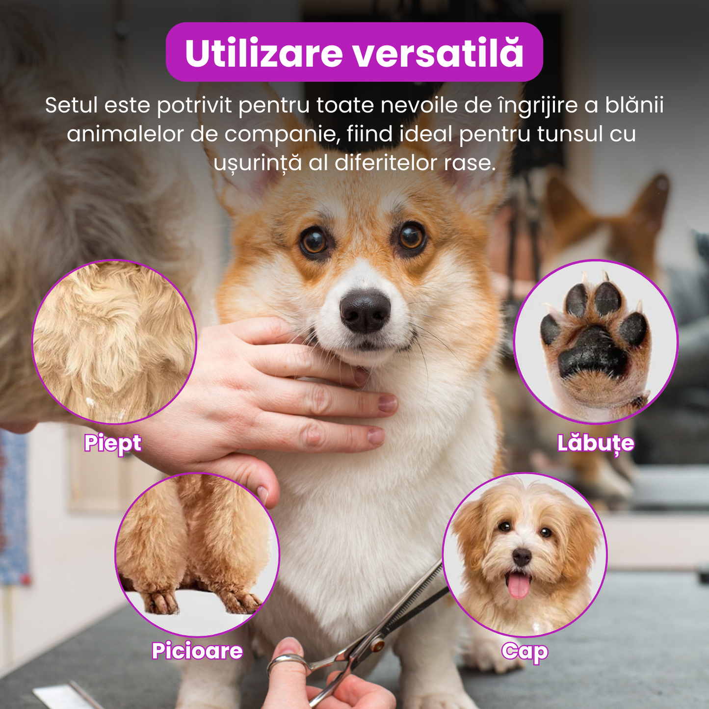 Set de 3 foarfece profesionale pentru tuns animale, cu pieptan si cutie de depozitare, design ergonomic, otel inoxidabil, prevenirea ruginii, rezistent la coroziune, usor de utilizat, gri