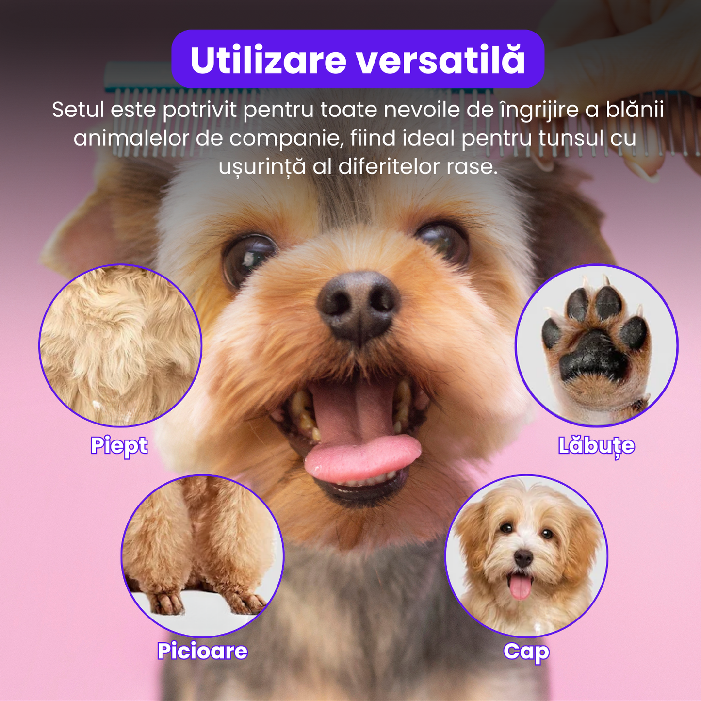 Set de 4 foarfece profesionale pentru tuns animale, cu pieptan si cutie de depozitare, design ergonomic, otel inoxidabil, prevenirea ruginii, rezistent, usor de utilizat, bleumarin