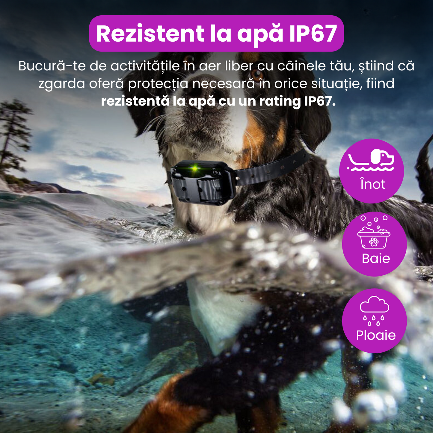 Zgarda electrica pentru dresaj caini, baterie 300 mAh, reincarcabila, raza actiune 800 m, 3 moduri de antrenament, IP67, protectie piele, electrozi cauciucati, zgarda reglabila, negru