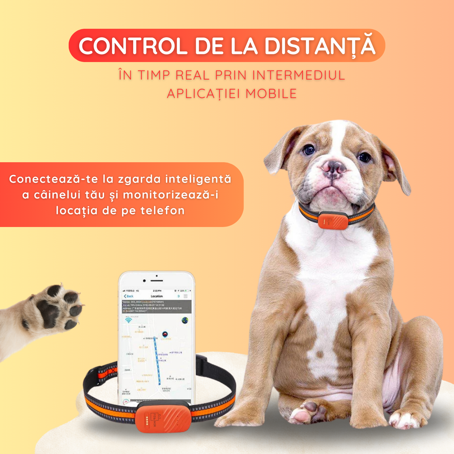 Zgarda cu GPS 4G pentru caini si pisici, rezistenta la apa IP67, urmarire in timp real, alarma sonora si luminoasa, gard virtual, apel bidirectional, control prin aplicatie, rosu