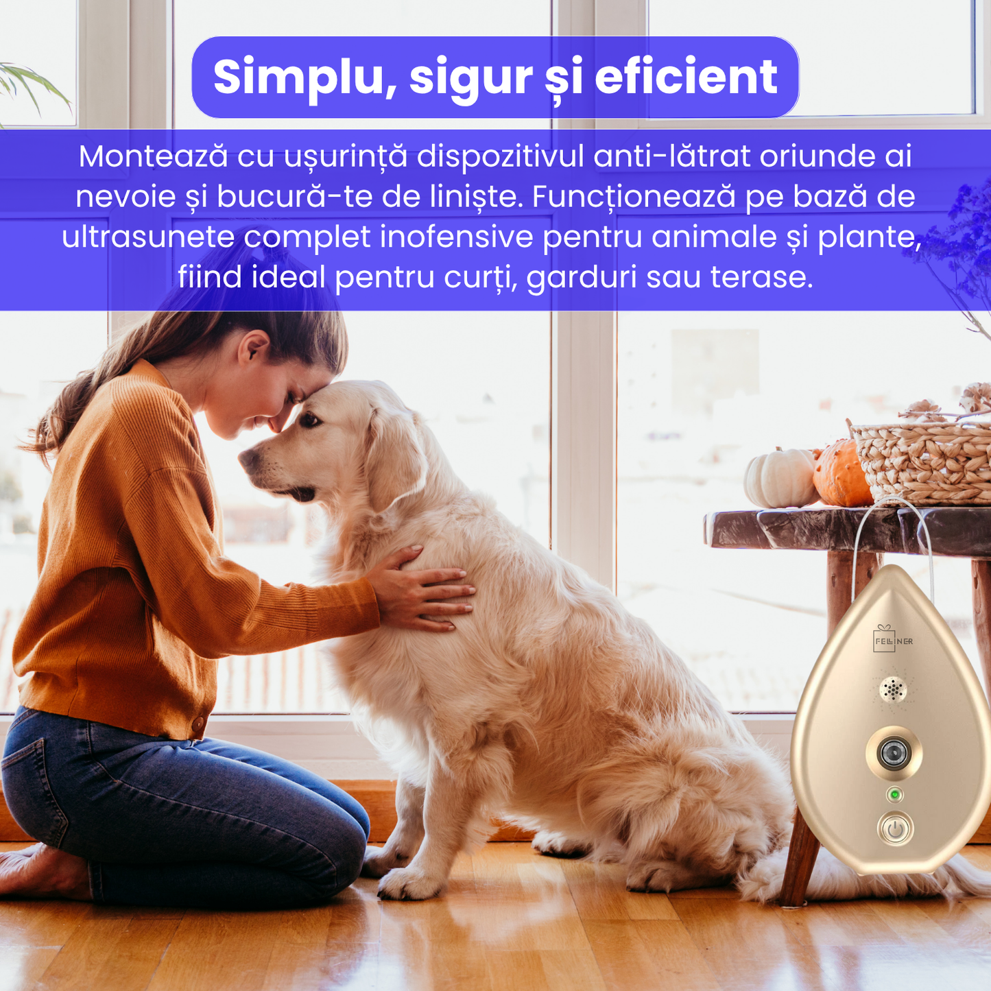 Dispozitiv anti-latrat pentru caini, cu ultrasunete, raza 15m, 3 nivele de sensibilitate, rezistent la apa si praf, montare usoara, potrivit pentru toate taliile, interior/exterior, auriu