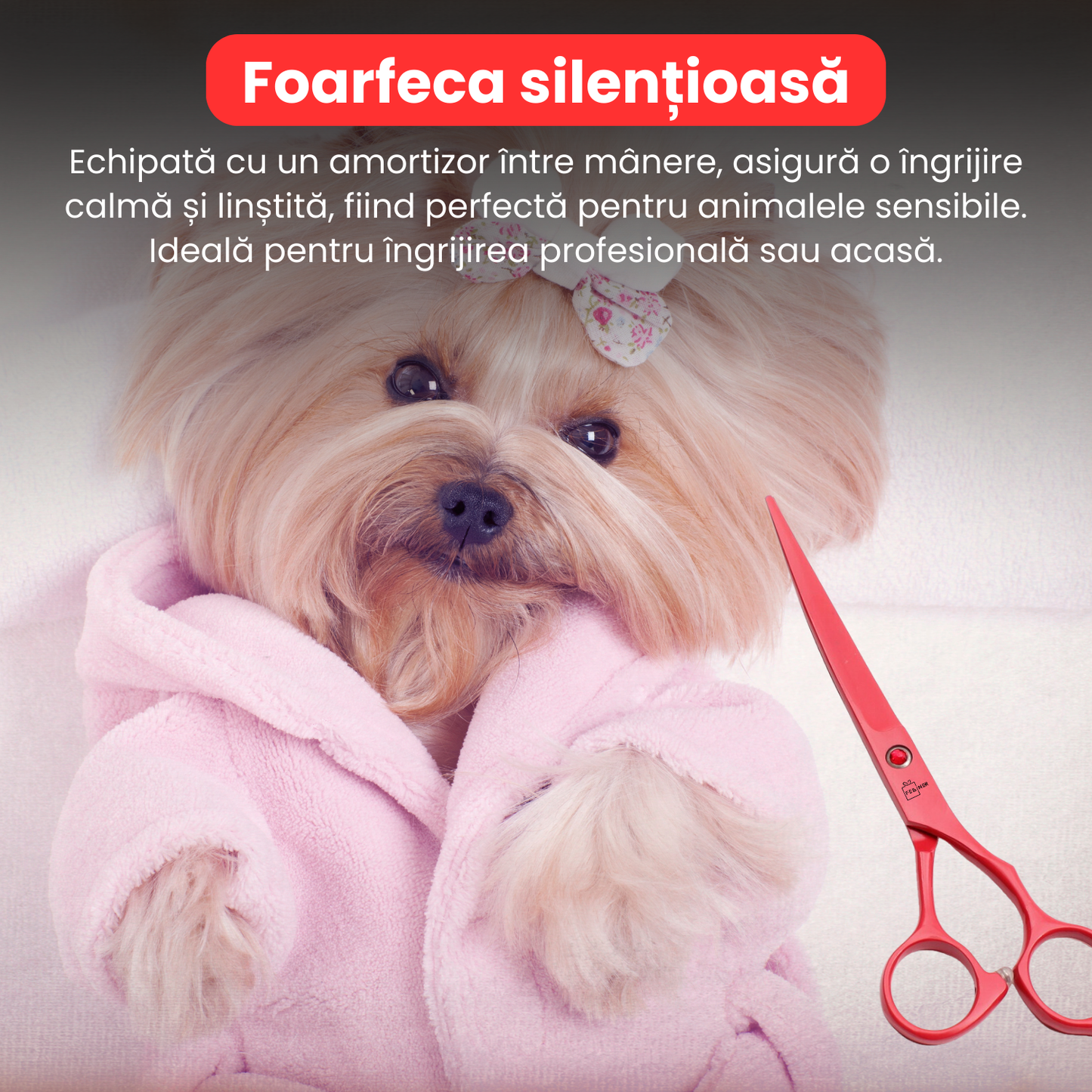 Set de 3 foarfece profesionale pentru tuns animale, cu pieptan si cutie de depozitare, design ergonomic, otel inoxidabil, prevenirea ruginii, rezistent la coroziune, usor de utilizat, rosu