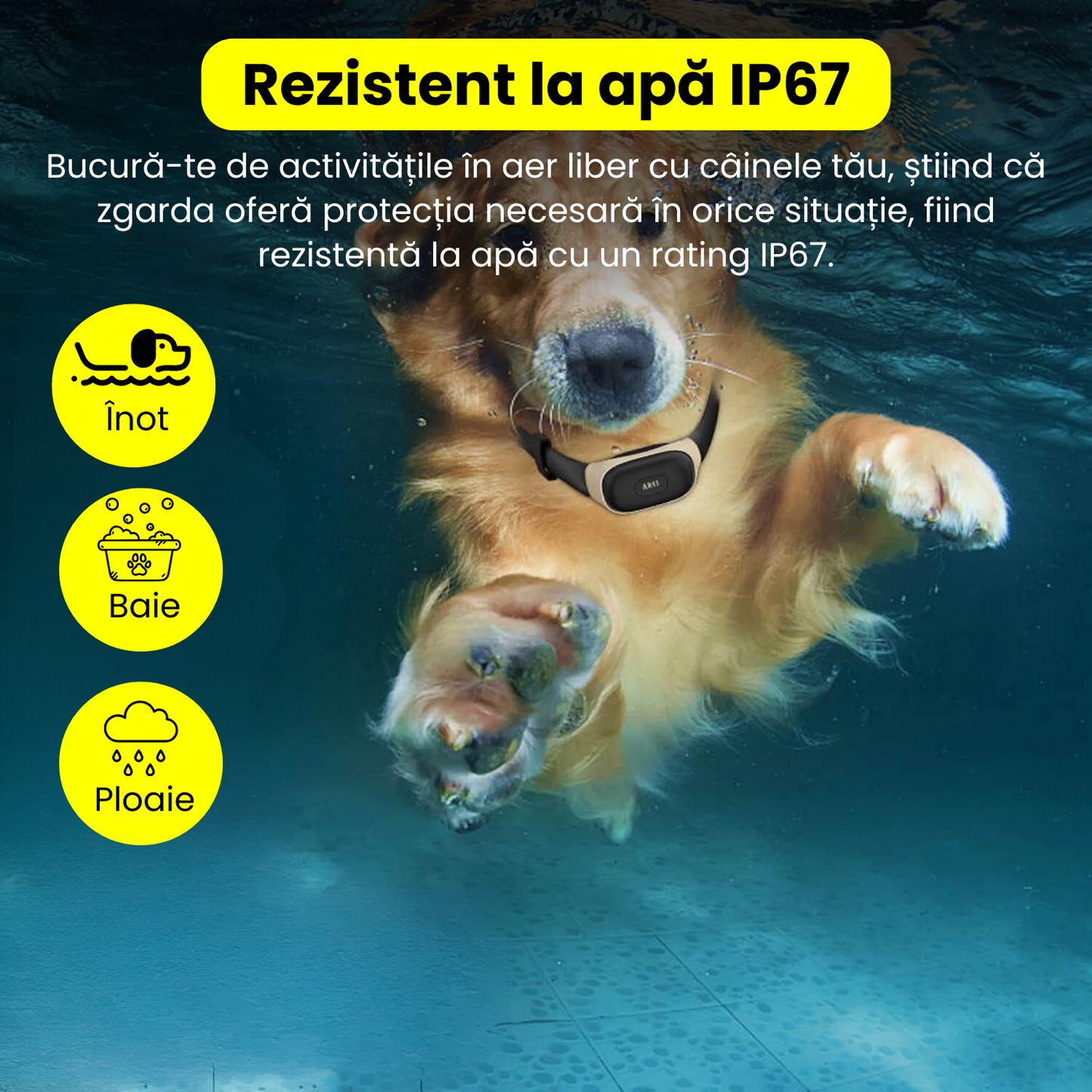 Zgarda electrica profesionala de dresaj, ajustabila, reincarcabila, 600m control de la distanta, alerta sunet, vibrare, soc, IP67, fluier dresaj inclus, telecomanda control, negru