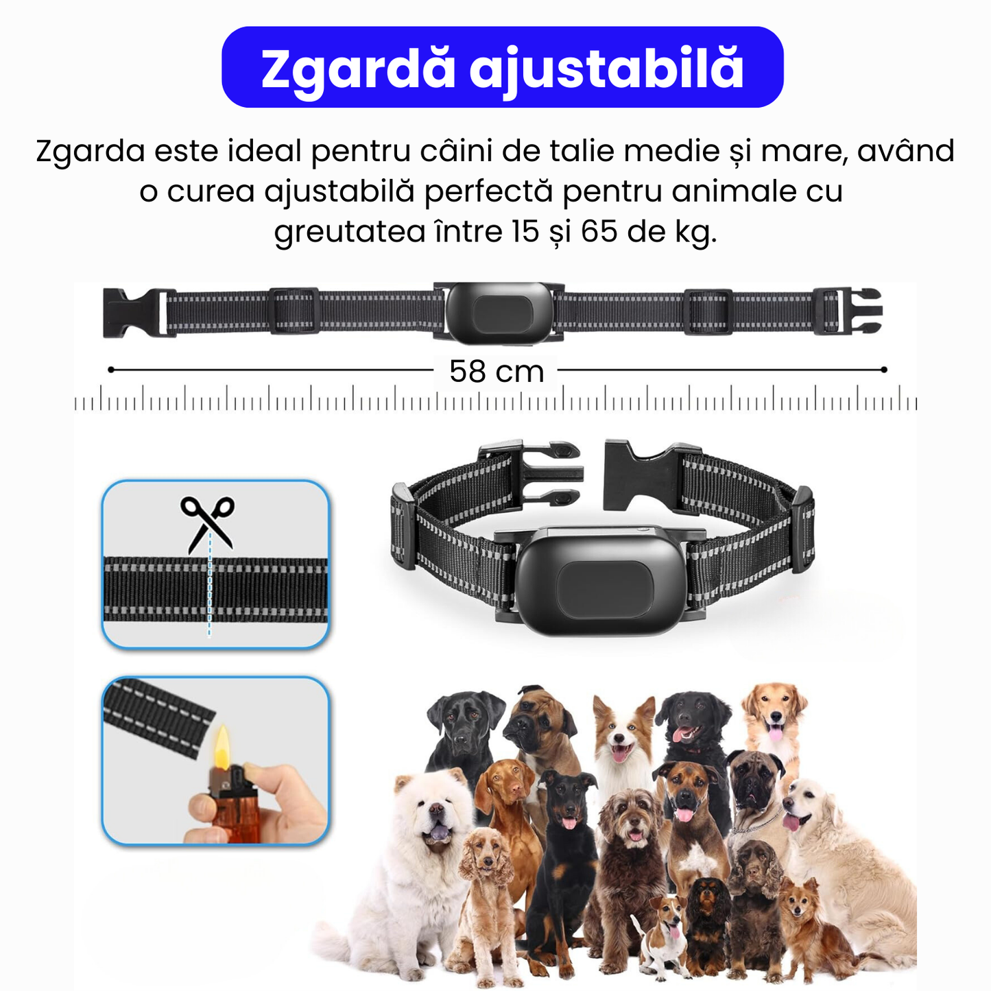 Sistem complet de gard invizibil pentru 3 caini, cu transmitator si zgarda reincarcabila, rezistenta la apa IP67, raza de actiune 300 m, baterie 2500 mAh, negru