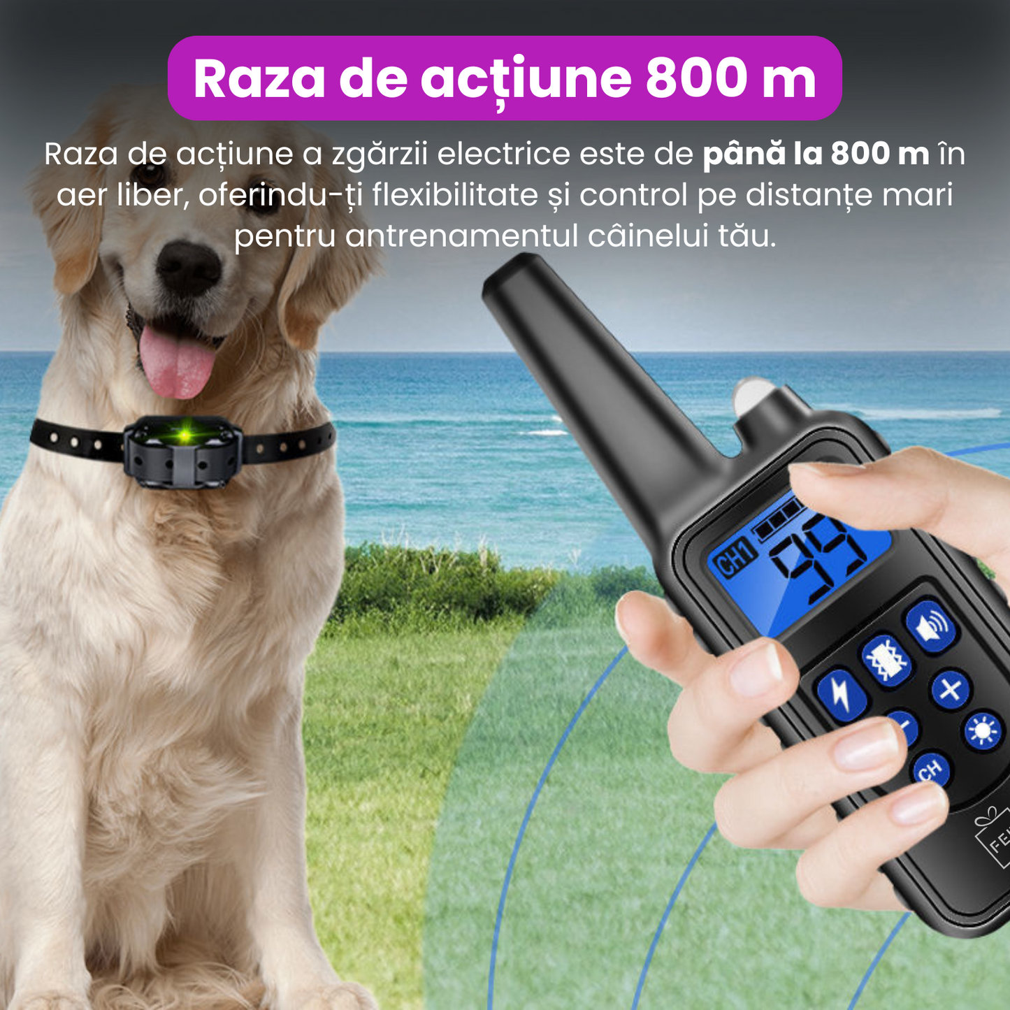 Zgarda electrica pentru dresaj caini, baterie 300 mAh, reincarcabila, raza actiune 800 m, 3 moduri de antrenament, IP67, protectie piele, electrozi cauciucati, zgarda reglabila, negru