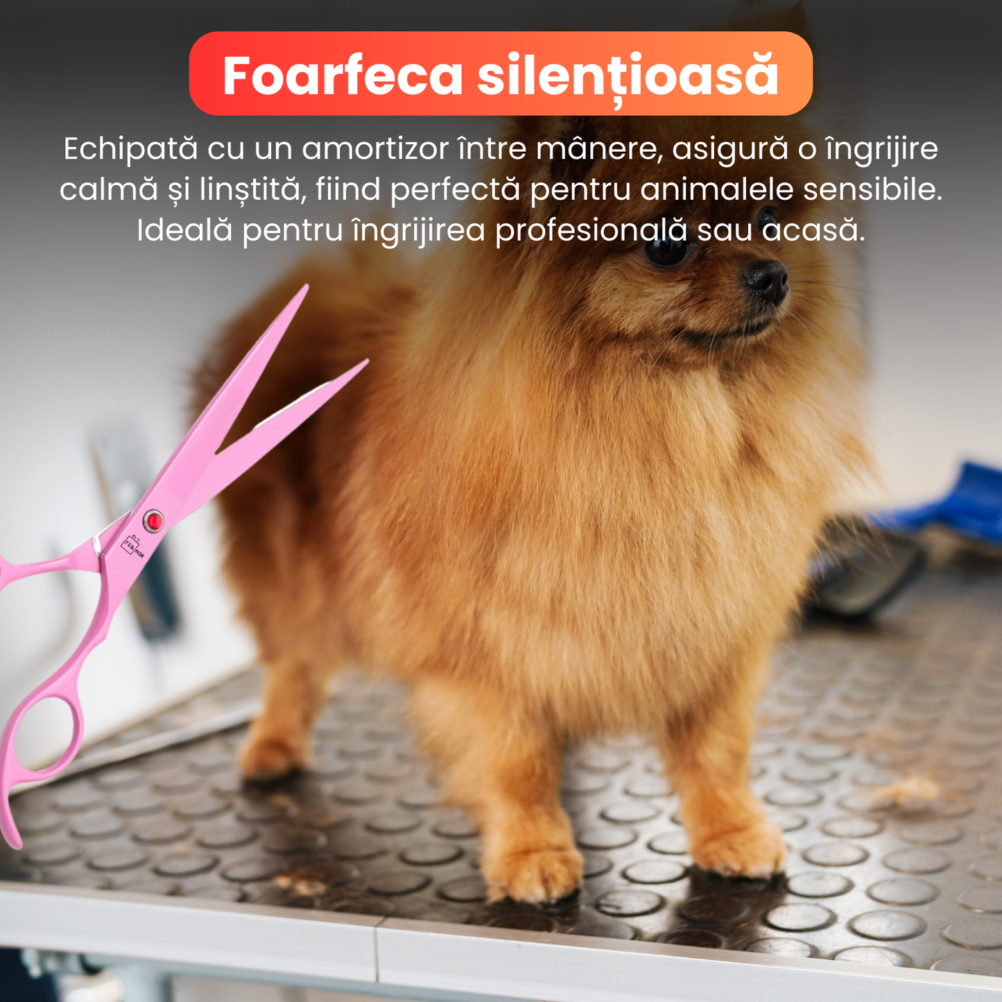 Set de 3 foarfece profesionale pentru tuns animale, cu pieptan si cutie de depozitare, design ergonomic, otel inoxidabil, prevenirea ruginii, rezistent la coroziune, usor de utilizat, roz