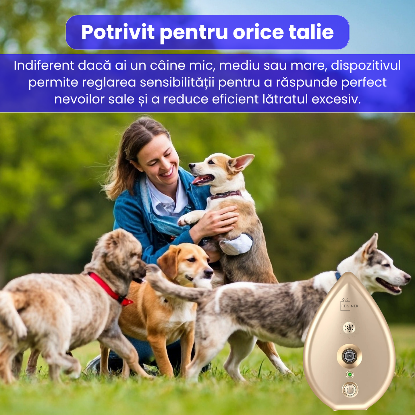 Dispozitiv anti-latrat pentru caini, cu ultrasunete, raza 15m, 3 nivele de sensibilitate, rezistent la apa si praf, montare usoara, potrivit pentru toate taliile, interior/exterior, auriu