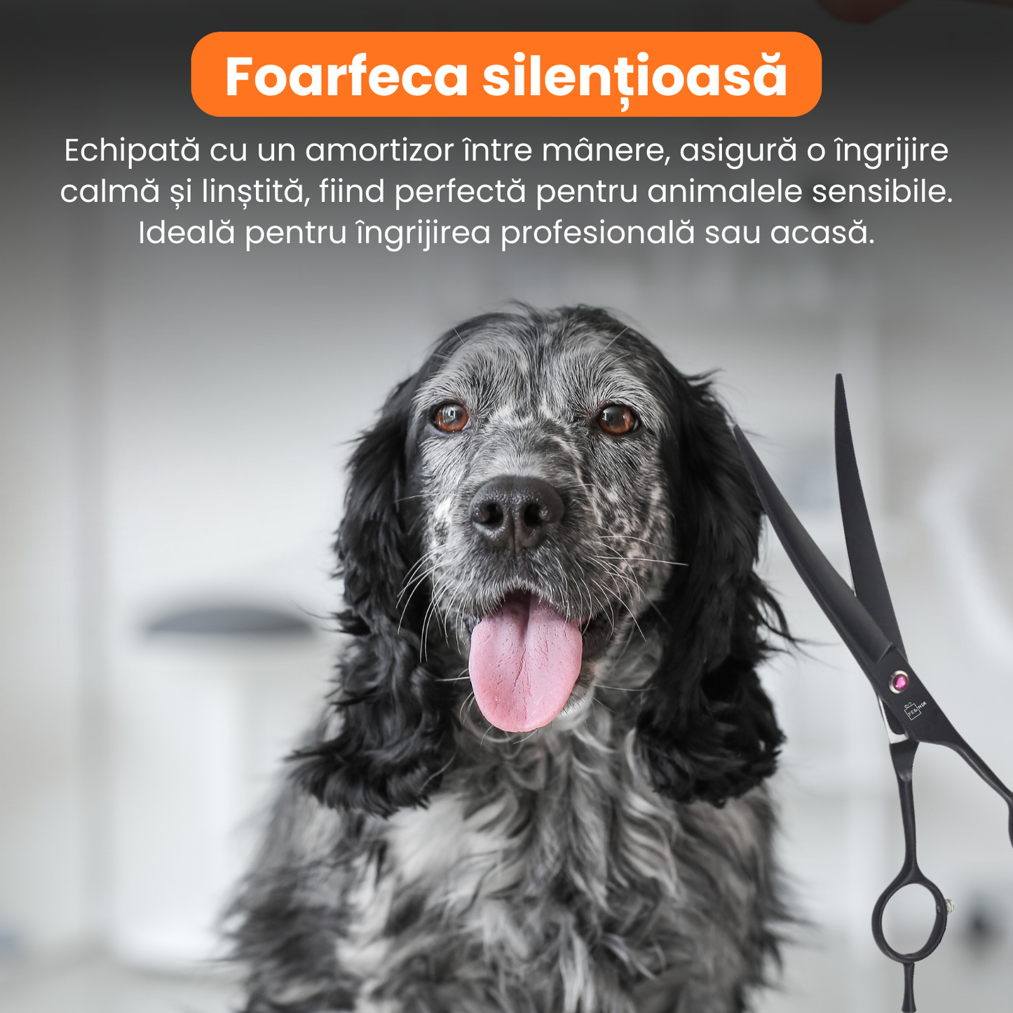 Set de 3 foarfece profesionale pentru tuns animale, cu pieptan si cutie de depozitare, design ergonomic, otel inoxidabil, prevenirea ruginii, rezistent la coroziune, usor de utilizat, negru