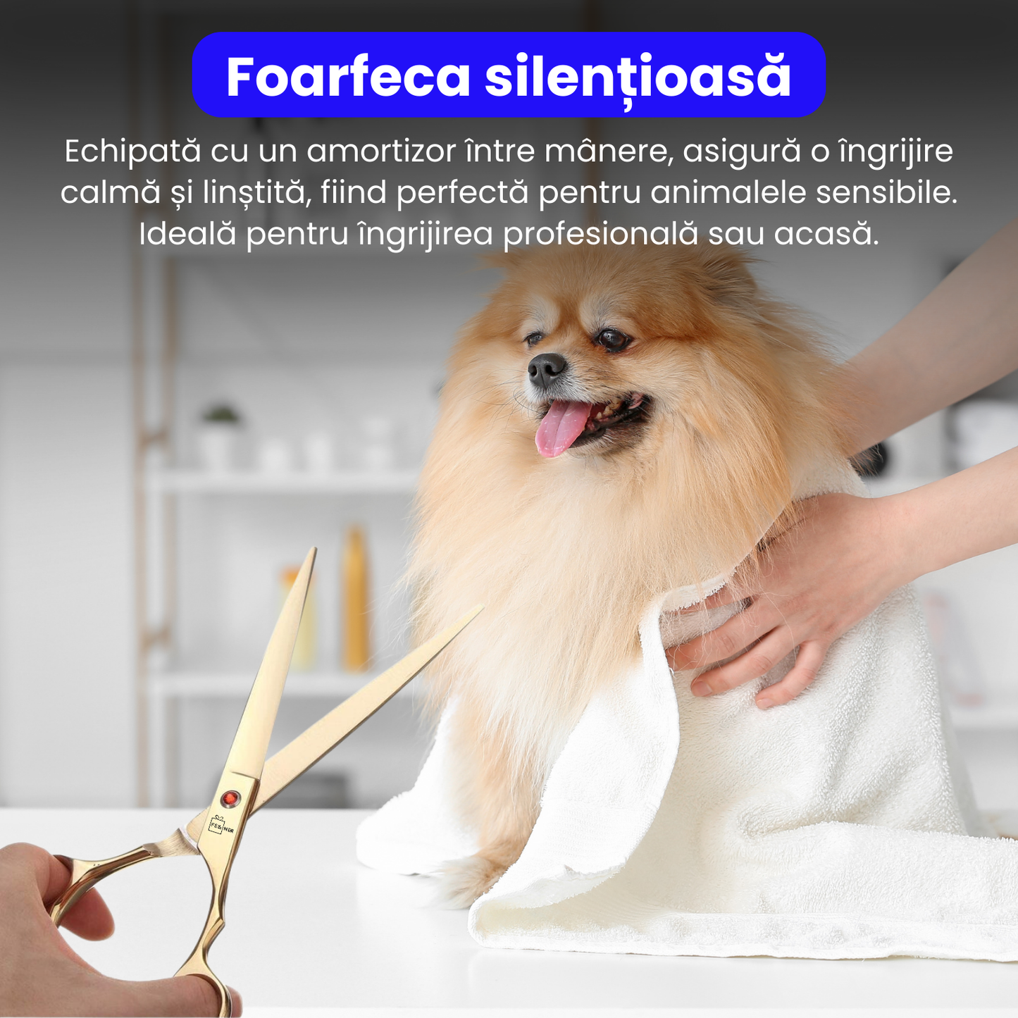 Set de 3 foarfece profesionale pentru tuns animale, cu pieptan si cutie de depozitare, design ergonomic, otel inoxidabil, prevenirea ruginii, rezistent la coroziune, usor de utilizat, auriu