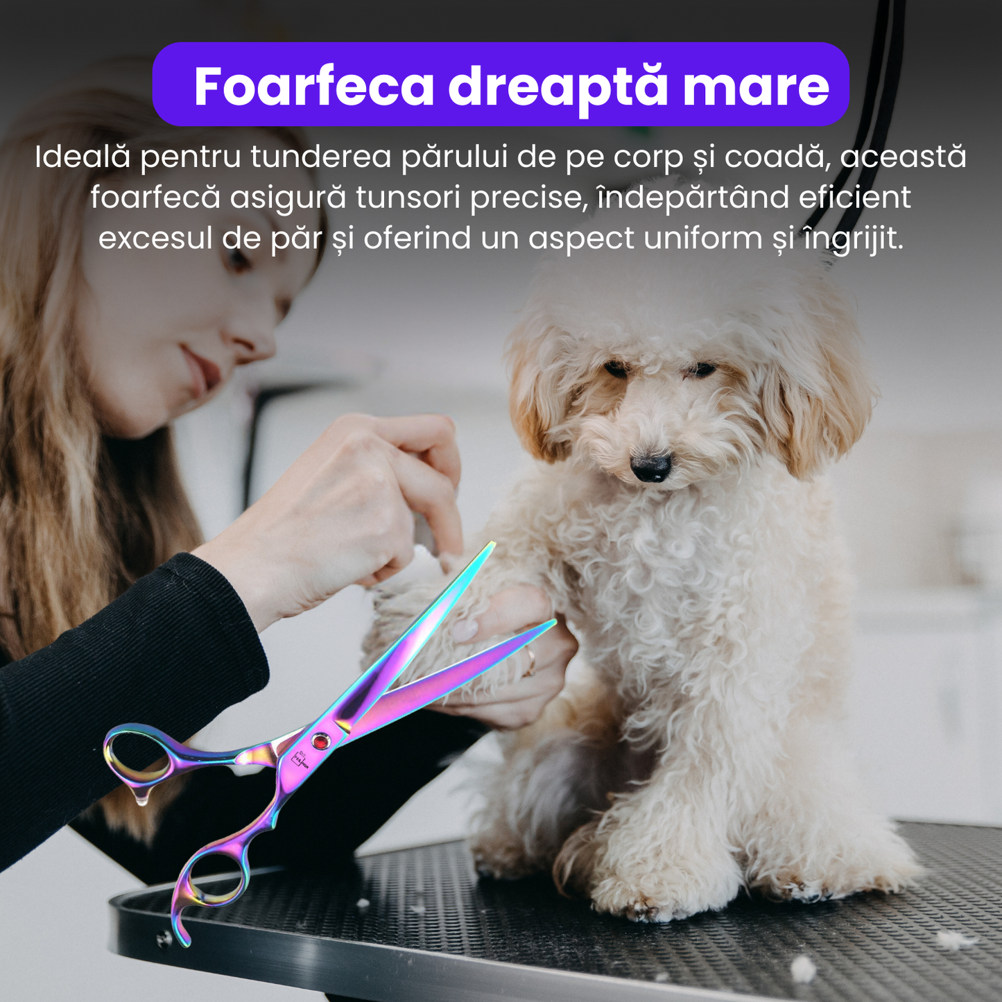 Set de 4 foarfece profesionale pentru tuns animale, cu pieptan si cutie de depozitare, design ergonomic, otel inoxidabil, prevenirea ruginii, rezistent, usor de utilizat, bleumarin