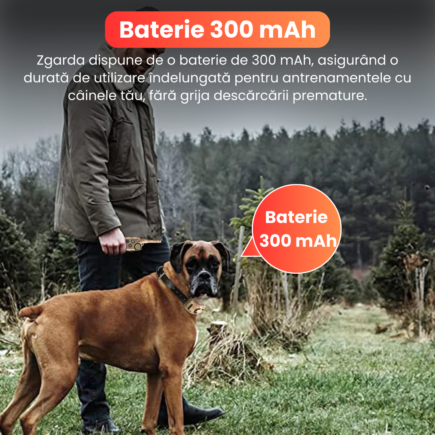 Zgarda electrica pentru dresaj caini, 4 moduri de antrenament, 99 nivele de vibratii, baterie 300 mAh, raza actiune 800 m, IP67, protectie piele, electrozi cauciucati, camuflaj-galben