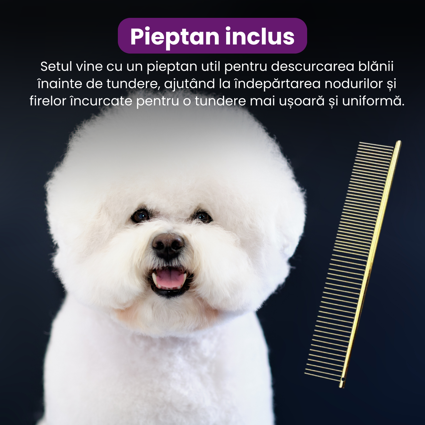 Set de 5 foarfece profesionale pentru tuns animale, cu pieptan si cutie de depozitare, design ergonomic, otel inoxidabil, prevenirea ruginii, rezistent la coroziune, usor de utilizat, auriu