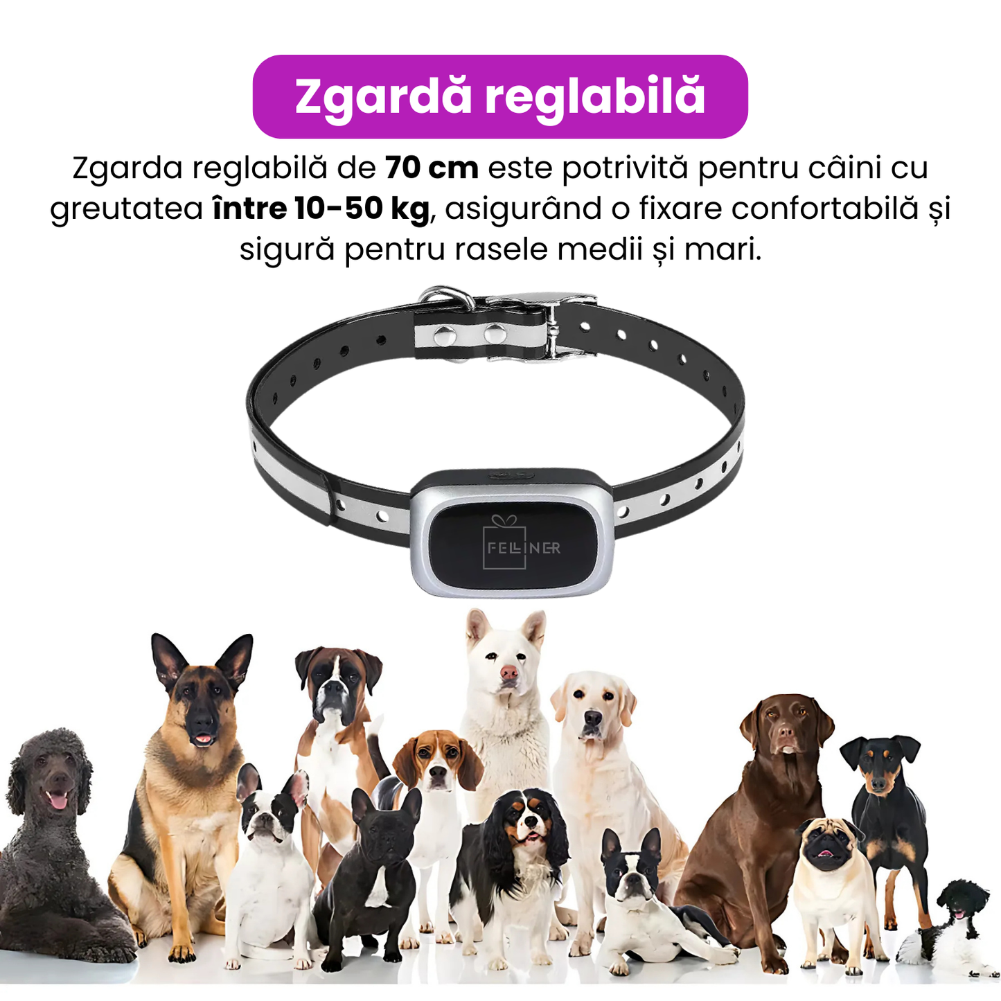 Sistem complet de gard invizibil pentru caini, TZ-861, cu rola de delimitare 200 m, sunet, vibratie, soc, IPX7, baterie reincarcabila de 400 mah, zgarda reglabila, negru