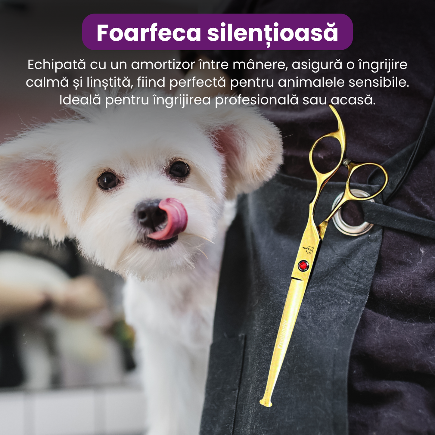 Set de 5 foarfece profesionale pentru tuns animale, cu pieptan si cutie de depozitare, design ergonomic, otel inoxidabil, prevenirea ruginii, rezistent la coroziune, usor de utilizat, auriu
