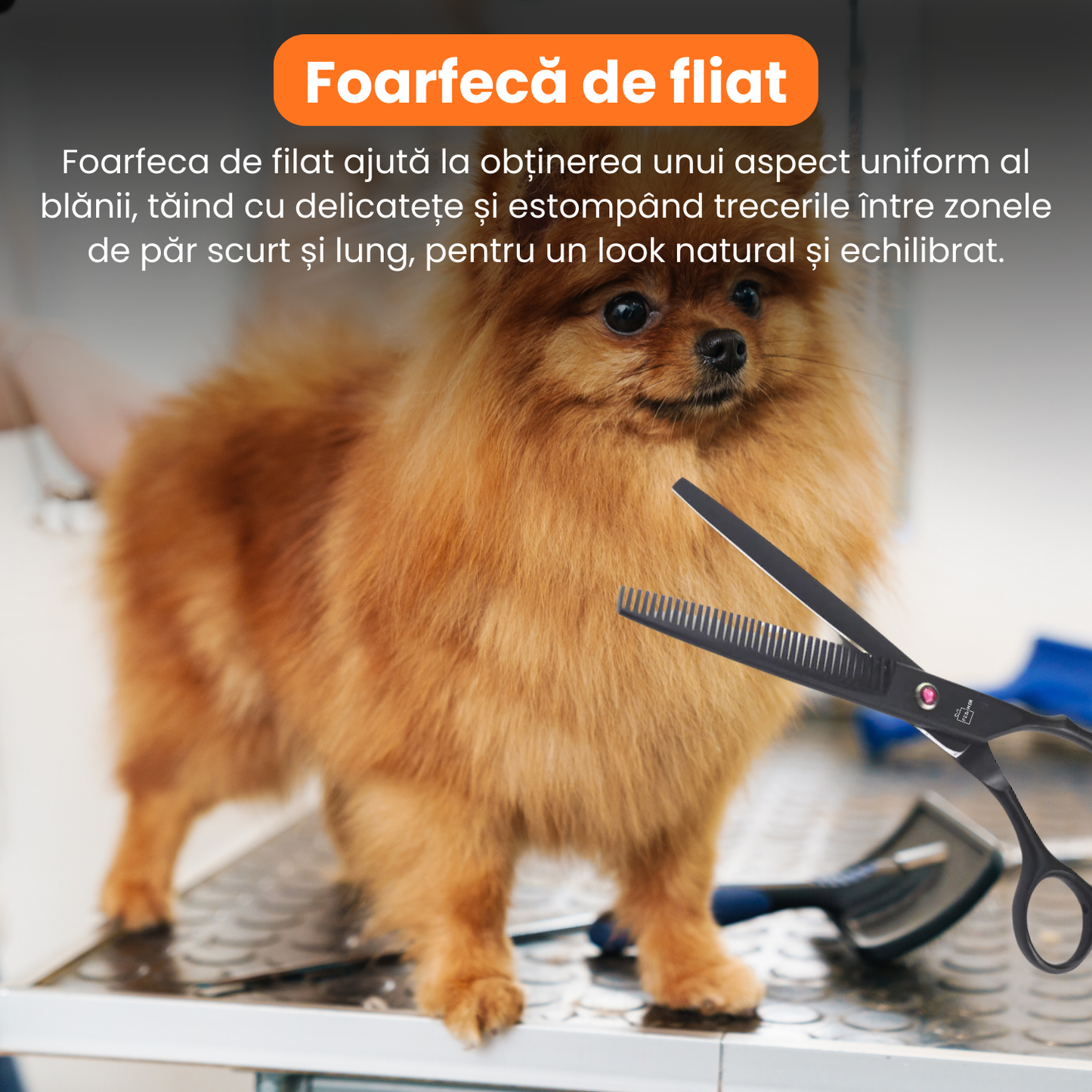 Set de 3 foarfece profesionale pentru tuns animale, cu pieptan si cutie de depozitare, design ergonomic, otel inoxidabil, prevenirea ruginii, rezistent la coroziune, usor de utilizat, negru