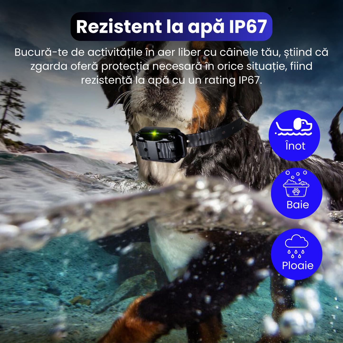 Zgarda electrica pentru 2 caini, baterie 300 mAh, raza 800 m, 3 moduri de antrenament, 99 nivele de vibratii, rezistenta la apa IP67, protectie piele, zgarda reglabila, negru