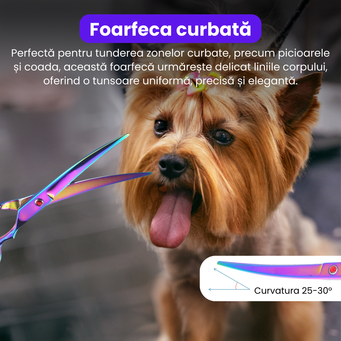 Set de 4 foarfece profesionale pentru tuns animale, cu pieptan si cutie de depozitare, design ergonomic, otel inoxidabil, prevenirea ruginii, rezistent, usor de utilizat, bleumarin