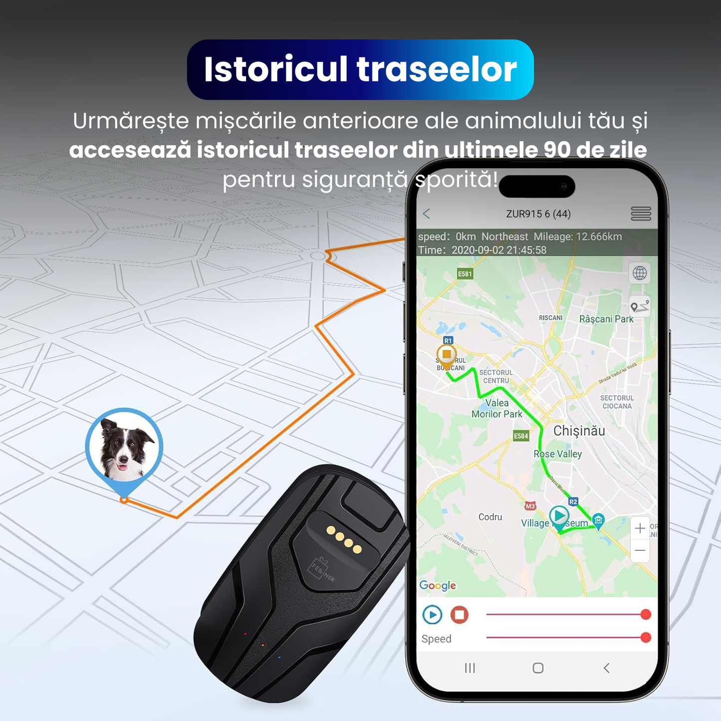 Zgarda electrica inteligenta TZ-G713 pentru caini, GPS integrat, monitorizare activitate, functie anti-pierdere, alerta sunet si vibratie, IP67, baterie 750 mAh, Android/iOS, negru