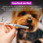 Set de 3 foarfece profesionale pentru tuns animale, cu pieptan si cutie de depozitare, design ergonomic, otel inoxidabil, prevenirea ruginii, rezistent la coroziune, usor de utilizat, gri