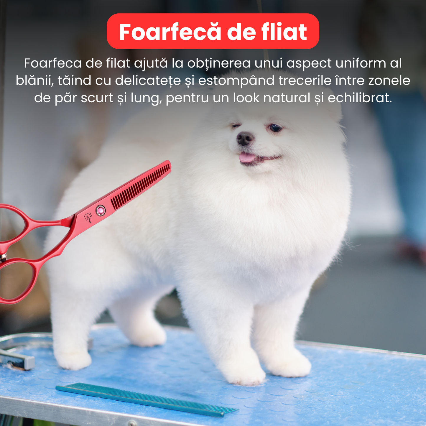 Set de 3 foarfece profesionale pentru tuns animale, cu pieptan si cutie de depozitare, design ergonomic, otel inoxidabil, prevenirea ruginii, rezistent la coroziune, usor de utilizat, rosu