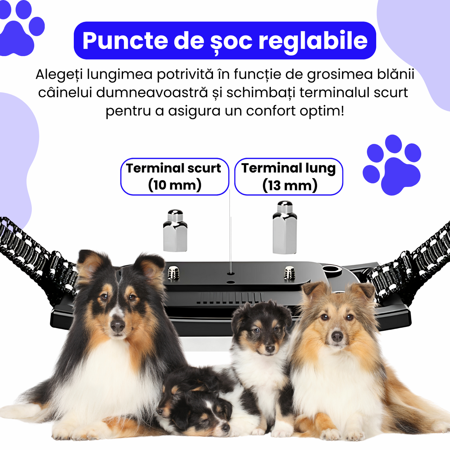 Sistem complet de gard invizibil pentru 3 caini, cu transmitator si zgarda reincarcabila, rezistenta la apa IP67, raza de actiune 300 m, baterie 2500 mAh, negru