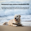 Zgarda inteligenta cu localizare pentru animale, GPS tracker, Felliner, rezistenta la apa, monitorizare prin aplicatie, Negru