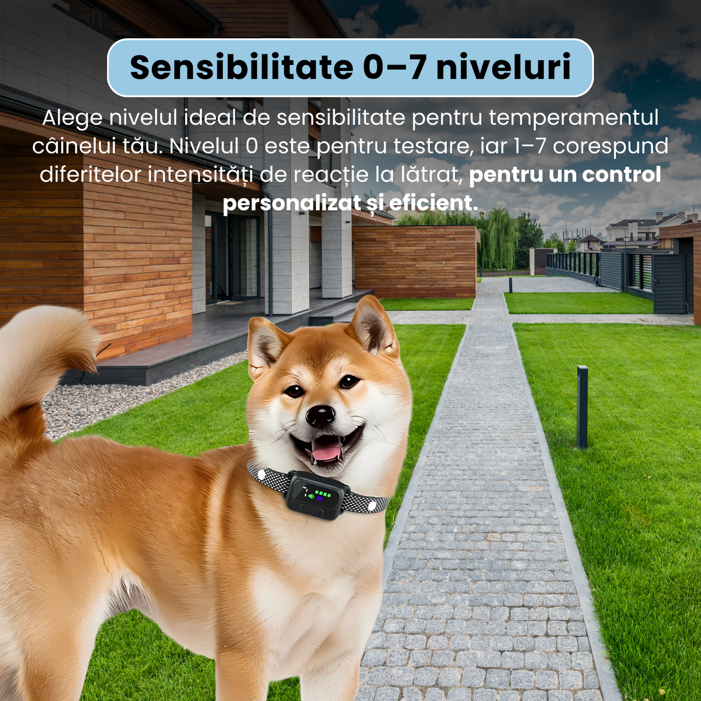 Zgarda antilatrat inteligenta cu senzor dublu, afisaj LED color, 4 moduri de antrenament, reglaj sensibilitate si intensitate, baterie 300 mAh, incarcare USB-C, rezistenta la apa IPX7, negru