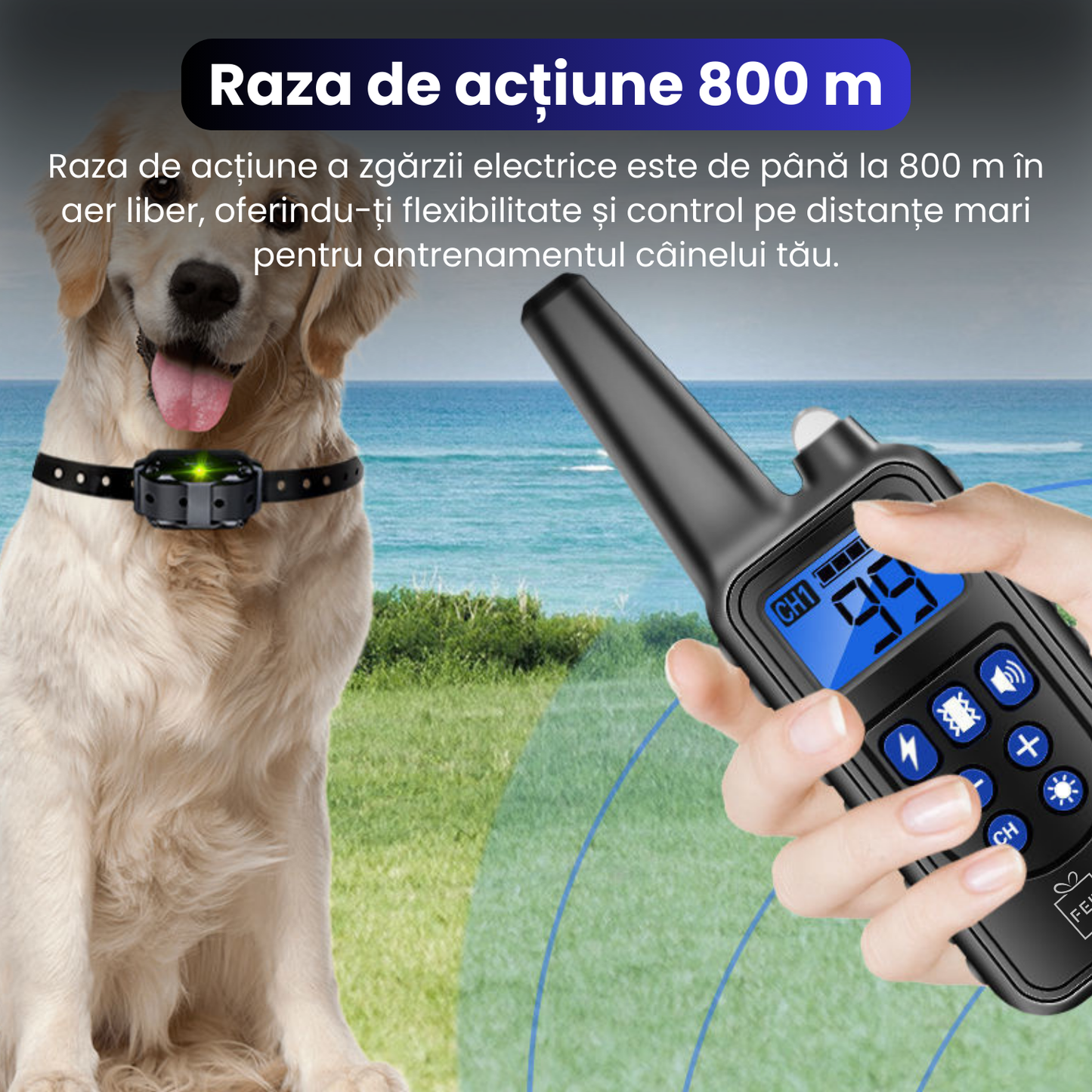 Zgarda electrica pentru 2 caini, baterie 300 mAh, raza 800 m, 3 moduri de antrenament, 99 nivele de vibratii, rezistenta la apa IP67, protectie piele, zgarda reglabila, negru