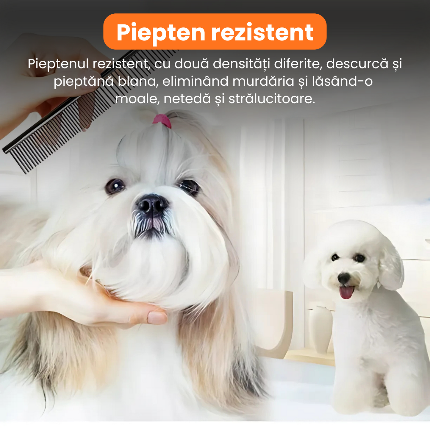 Set de 3 foarfece profesionale pentru tuns animale, cu pieptan si cutie de depozitare, design ergonomic, otel inoxidabil, prevenirea ruginii, rezistent la coroziune, usor de utilizat, negru