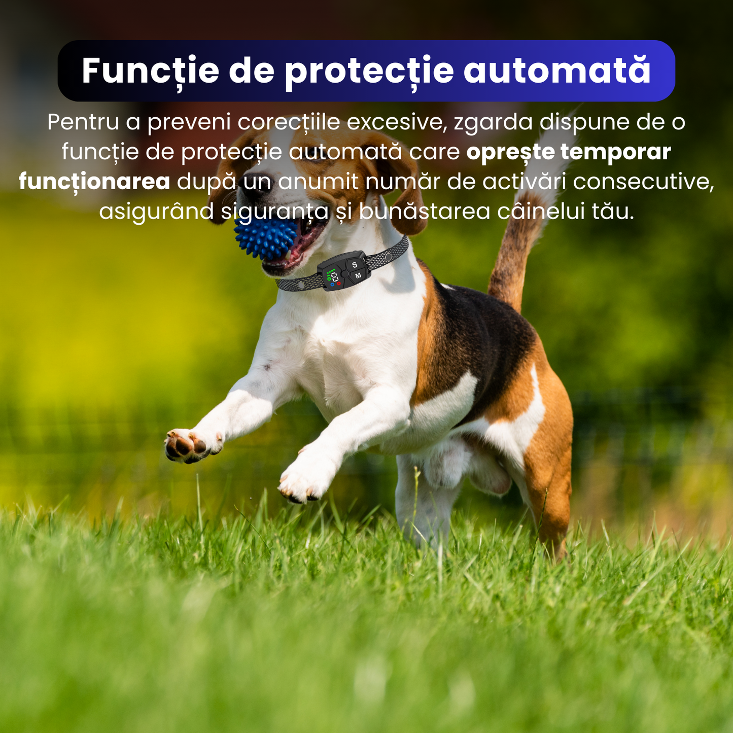 Zgarda anti-latrat, TZ-368, 7 nivele de intensitate, functie automata de oprire a latratului, design ergonomic, baterie reincarcabila de 250 mAh, ecran color, rezistent la apa IP67, negru
