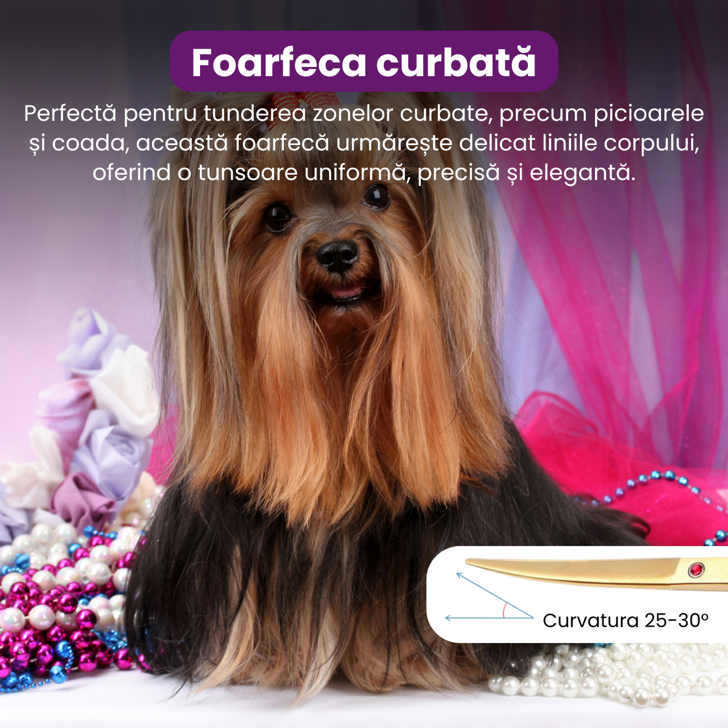 Set de 5 foarfece profesionale pentru tuns animale, cu pieptan si cutie de depozitare, design ergonomic, otel inoxidabil, prevenirea ruginii, rezistent la coroziune, usor de utilizat, auriu