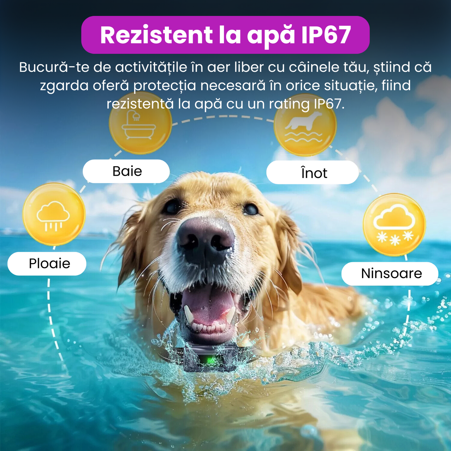 Zgarda electrica pentru dresaj caini, baterie 500 mAh, reincarcabila, raza 1300 m, 3 moduri de antrenament, rezistenta la apa IP67, electrozi cauciucati, protectie piele, reglabila, negru