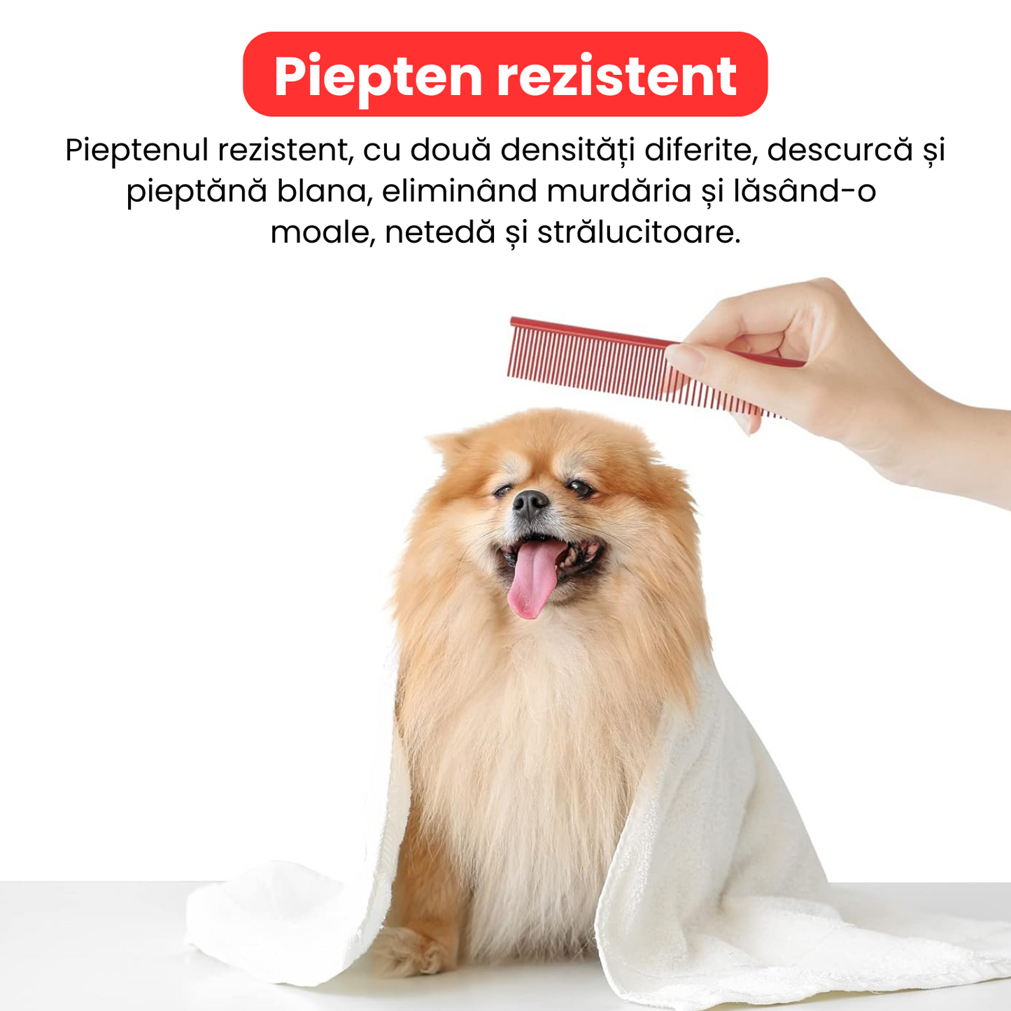Set de 3 foarfece profesionale pentru tuns animale, cu pieptan si cutie de depozitare, design ergonomic, otel inoxidabil, prevenirea ruginii, rezistent la coroziune, usor de utilizat, rosu
