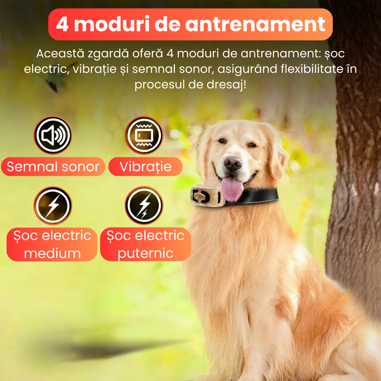 Zgarda electrica pentru dresaj caini, 4 moduri de antrenament, 99 nivele de vibratii, baterie 300 mAh, raza actiune 800 m, IP67, protectie piele, electrozi cauciucati, camuflaj-galben