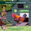 Usa automata pentru cotet gaini, alimentare panou solar, telecomanda, temporizator, senzor de lumina, senzor obstacol, control telecomanda, impermeabil IP67, verde