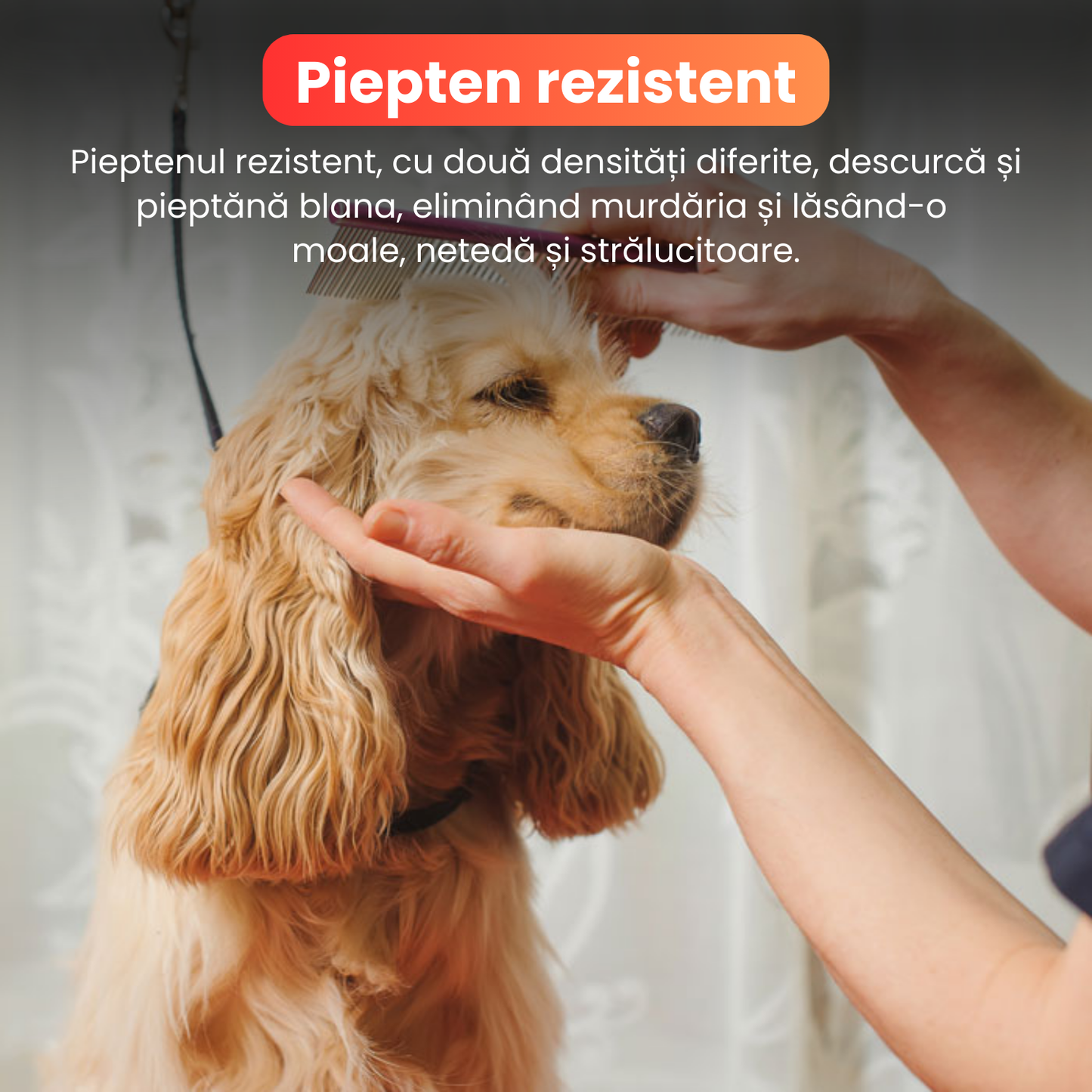 Set de 3 foarfece profesionale pentru tuns animale, cu pieptan si cutie de depozitare, design ergonomic, otel inoxidabil, prevenirea ruginii, rezistent la coroziune, usor de utilizat, roz