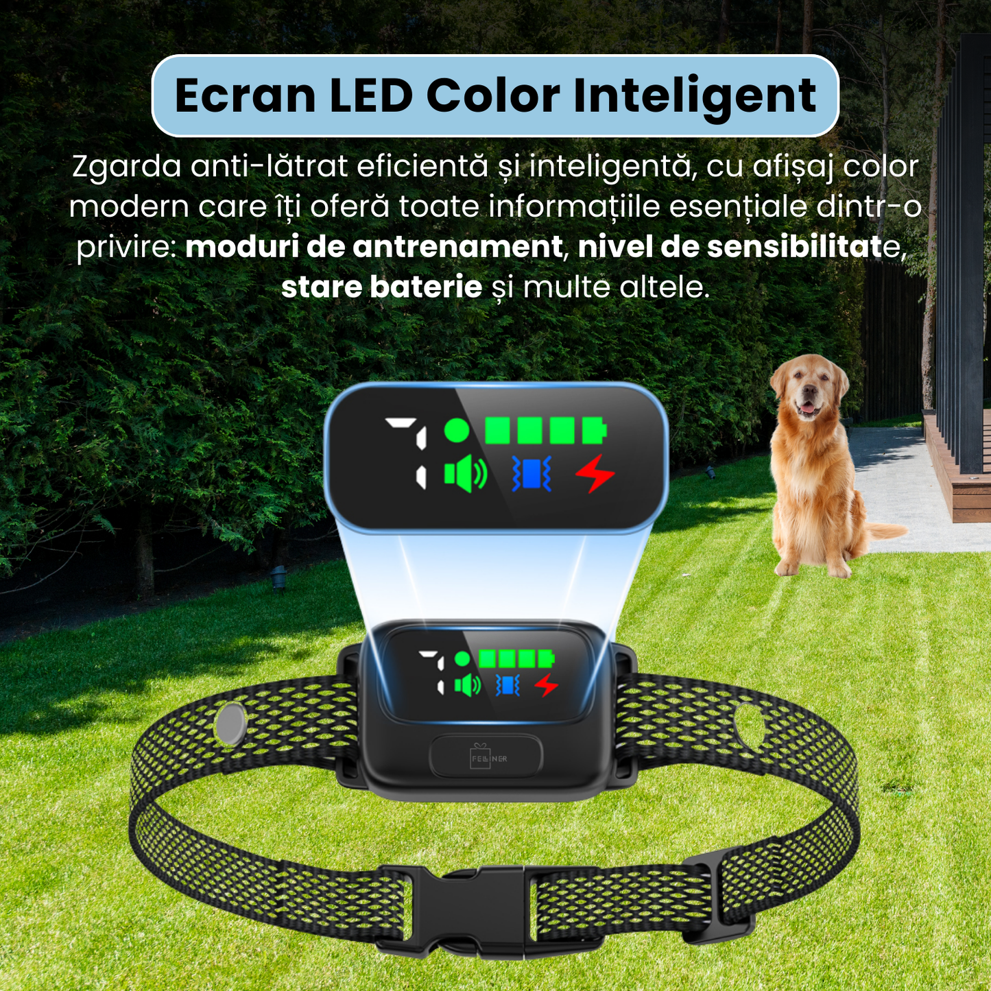 Zgarda antilatrat inteligenta cu senzor dublu, afisaj LED color, 4 moduri de antrenament, reglaj sensibilitate si intensitate, baterie 300 mAh, incarcare USB-C, rezistenta la apa IPX7, negru