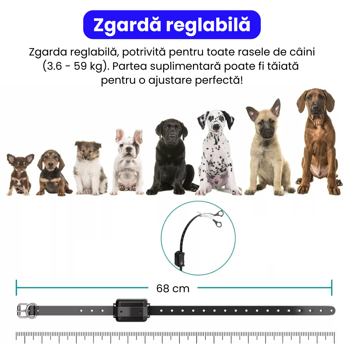 Sistem complet de gard invizibil pentru caini, cu transmitator si zgarda reincarcabila si rezistenta la apa IP67, raza de actiune 500 m, baterie 250 mAh, negru