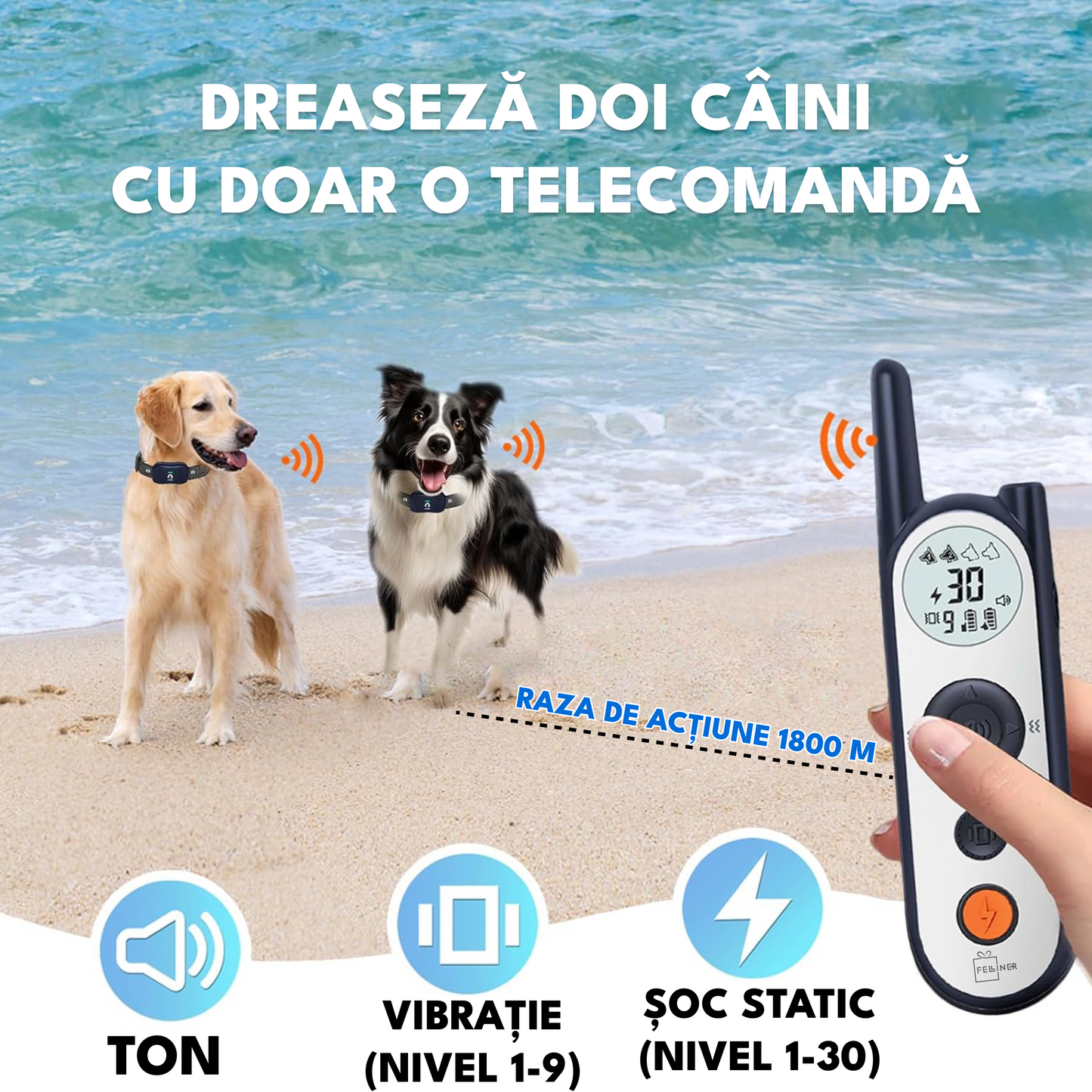 Zgarda electrica dresaj pentru 2 caini, X3, raza actiune 1800 metrii, gard electronic, impuls 30 nivele, vibratie, sunet si localizare, rezistenta la apa, autonomie standby 185 zile, gri