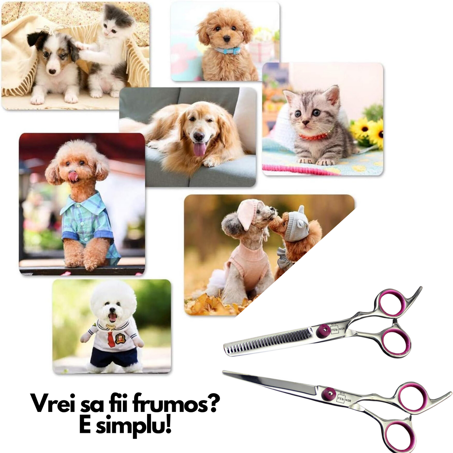 Set 2 foarfece profesionale pentru ingrijirea cainilor, piepten, geanta transport, otel, 15cm, Felliner, roz