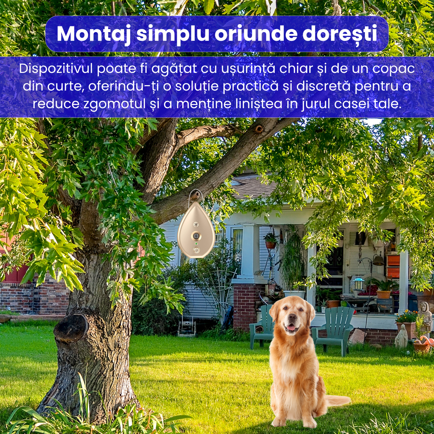 Dispozitiv anti-latrat pentru caini, cu ultrasunete, raza 15m, 3 nivele de sensibilitate, rezistent la apa si praf, montare usoara, potrivit pentru toate taliile, interior/exterior, auriu