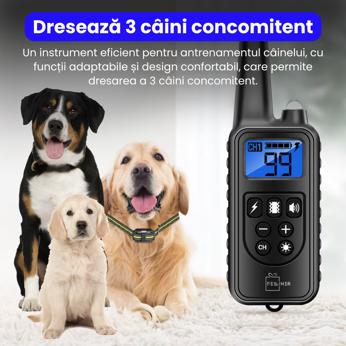 Zgarda electrica pentru 3 caini, 880-3, 99 nivele de vibratii, baterie 300 mAh, raza 800m, 3 moduri antrenament, IP67, electrozi cauciucati, protectie piele, zgarda reglabila, negru