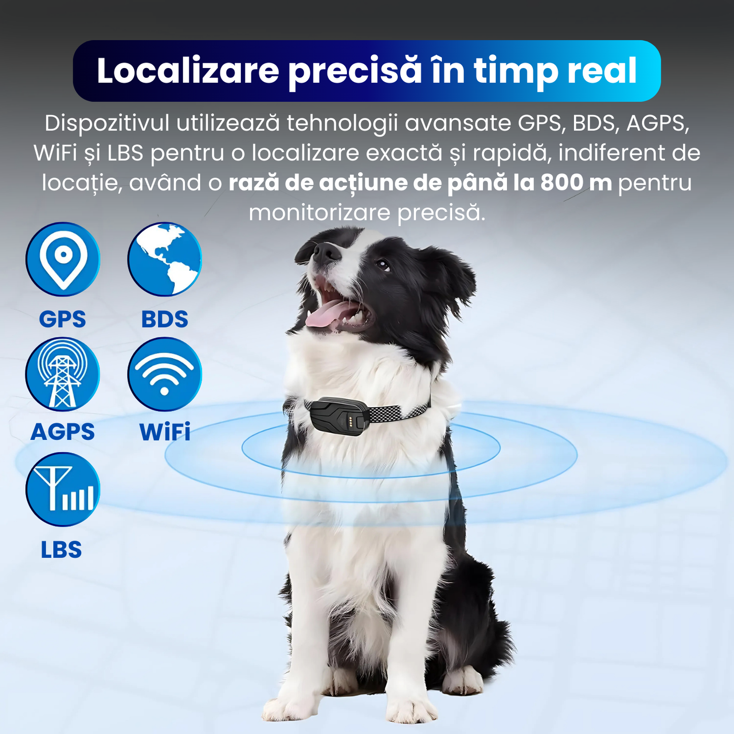 Zgarda electrica inteligenta TZ-G713 pentru caini, GPS integrat, monitorizare activitate, functie anti-pierdere, alerta sunet si vibratie, IP67, baterie 750 mAh, Android/iOS, negru