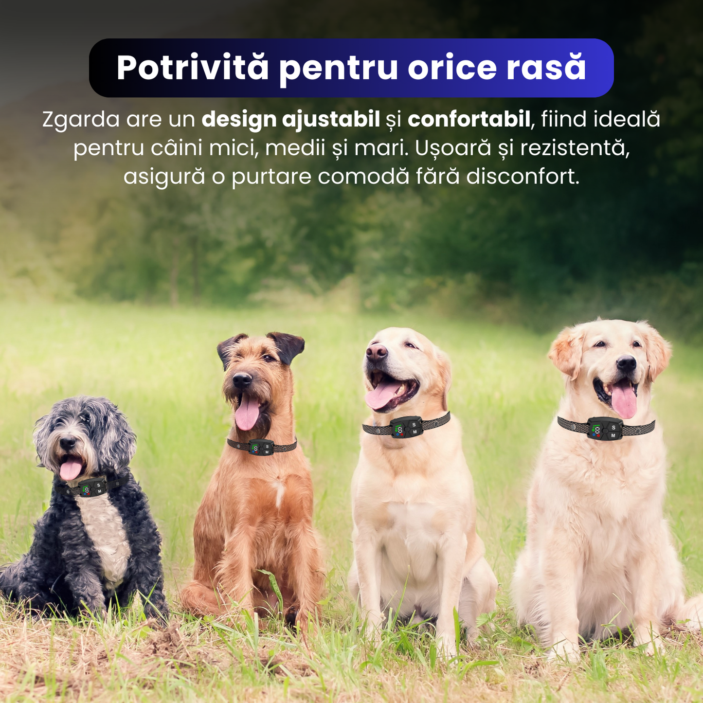 Zgarda anti-latrat, TZ-368, 7 nivele de intensitate, functie automata de oprire a latratului, design ergonomic, baterie reincarcabila de 250 mAh, ecran color, rezistent la apa IP67, negru