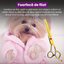 Set de 5 foarfece profesionale pentru tuns animale, cu pieptan si cutie de depozitare, design ergonomic, otel inoxidabil, prevenirea ruginii, rezistent la coroziune, usor de utilizat, auriu