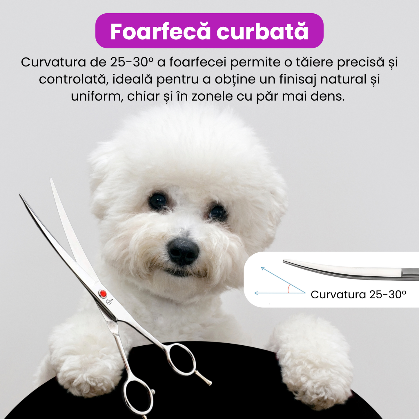 Set de 3 foarfece profesionale pentru tuns animale, cu pieptan si cutie de depozitare, design ergonomic, otel inoxidabil, prevenirea ruginii, rezistent la coroziune, usor de utilizat, gri