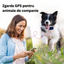 Zgarda inteligenta cu localizare pentru animale, GPS tracker, Felliner, rezistenta la apa, monitorizare prin aplicatie, Negru