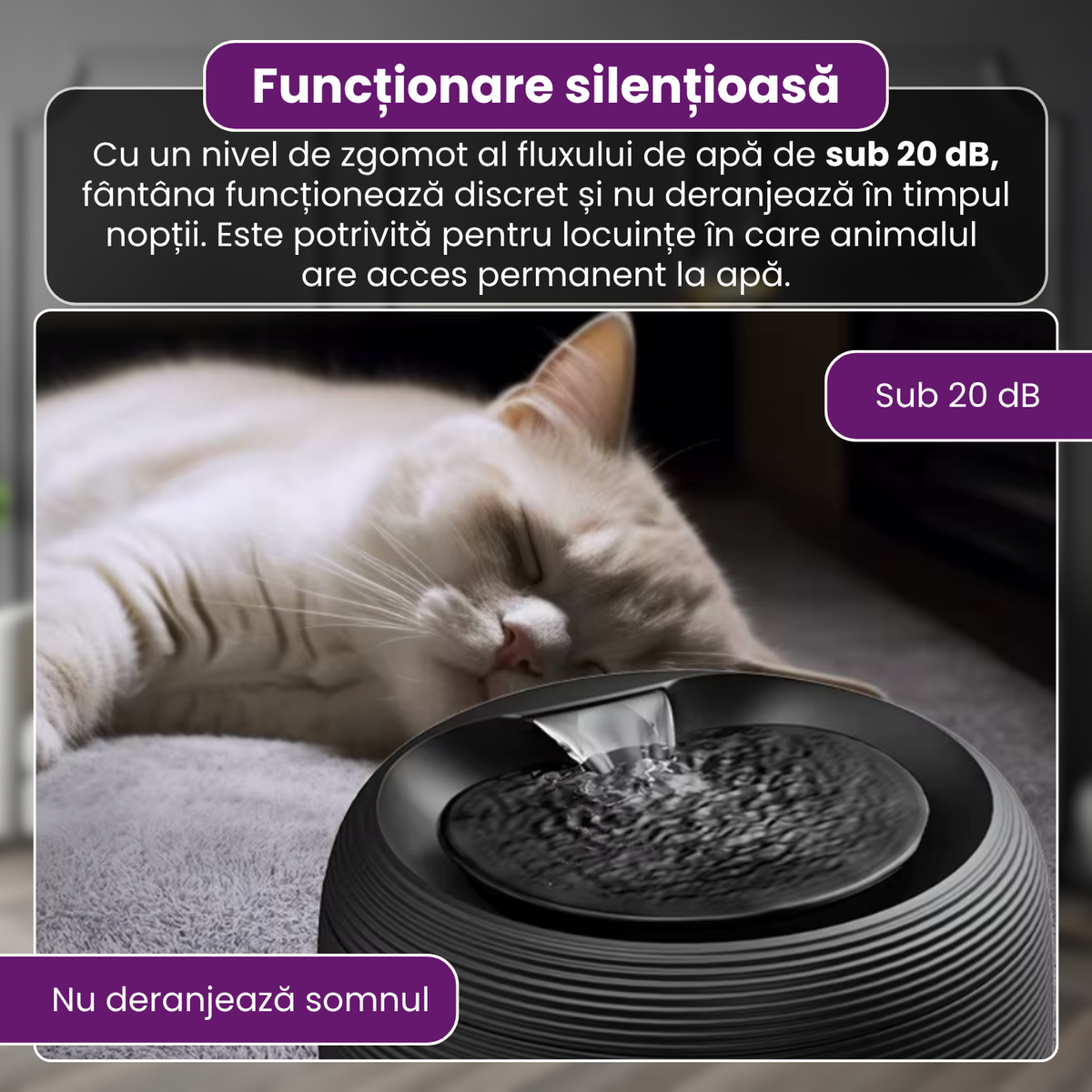 Fantana automata de apa pentru pisici si caini, 2.5 L, filtrare continua, pompa ultra-silentioasa sub 20 dB, protectie dry-run, alimentare USB, filtru pentru impuritati, design modern, negru